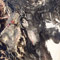 détail 6