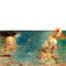 détail 1