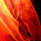détail 7