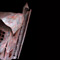 détail 5