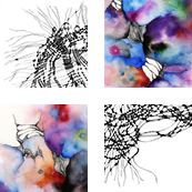 Legami & Synapses