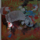 02/2008 #1