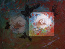 02/2008 #3