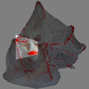 12/2007 #2